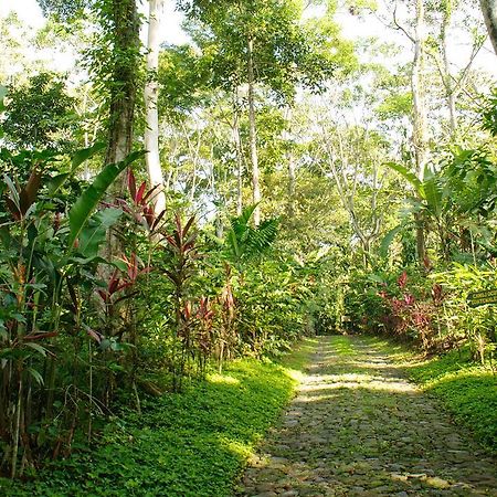 Takalik Maya Lodge El Asintal Exteriér fotografie