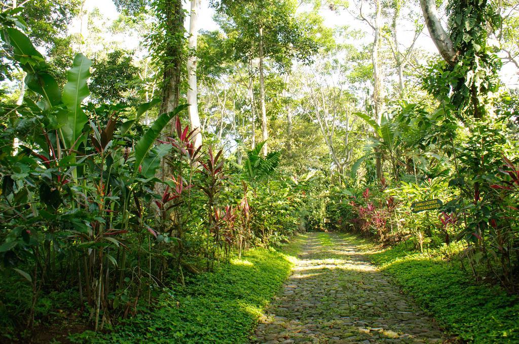 Takalik Maya Lodge El Asintal Exteriér fotografie