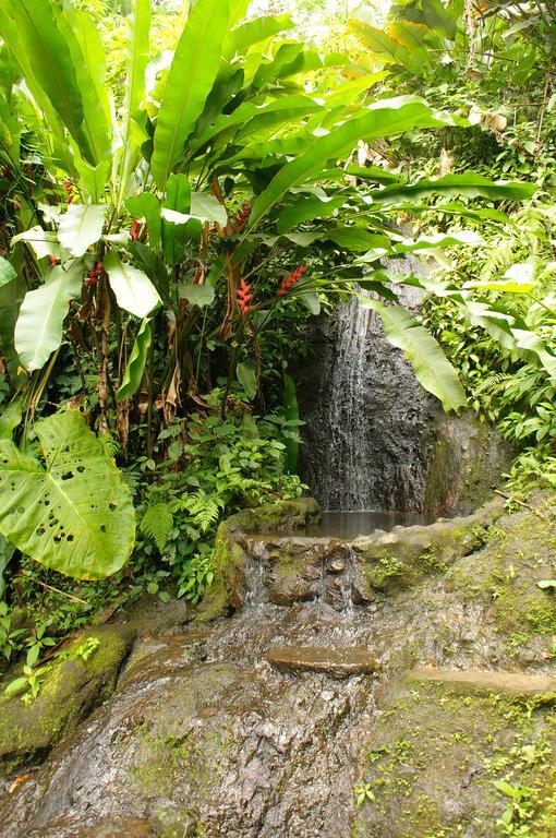 Takalik Maya Lodge El Asintal Exteriér fotografie