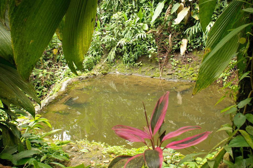 Takalik Maya Lodge El Asintal Exteriér fotografie