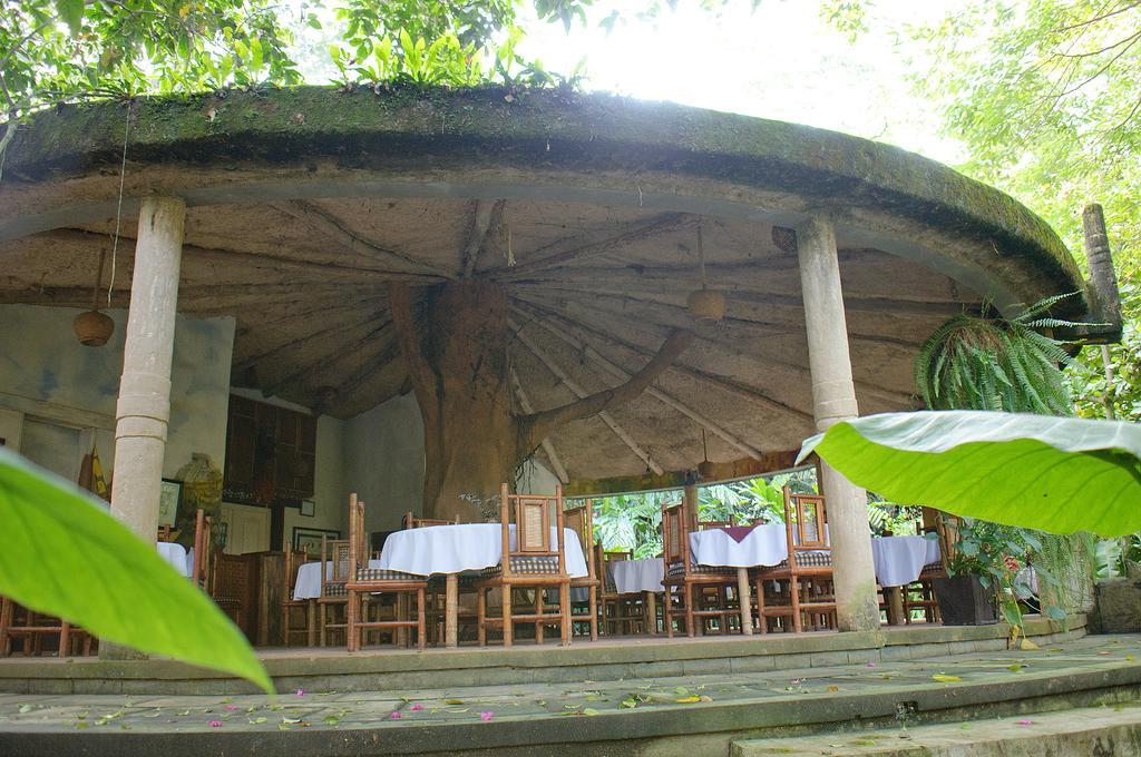 Takalik Maya Lodge El Asintal Exteriér fotografie