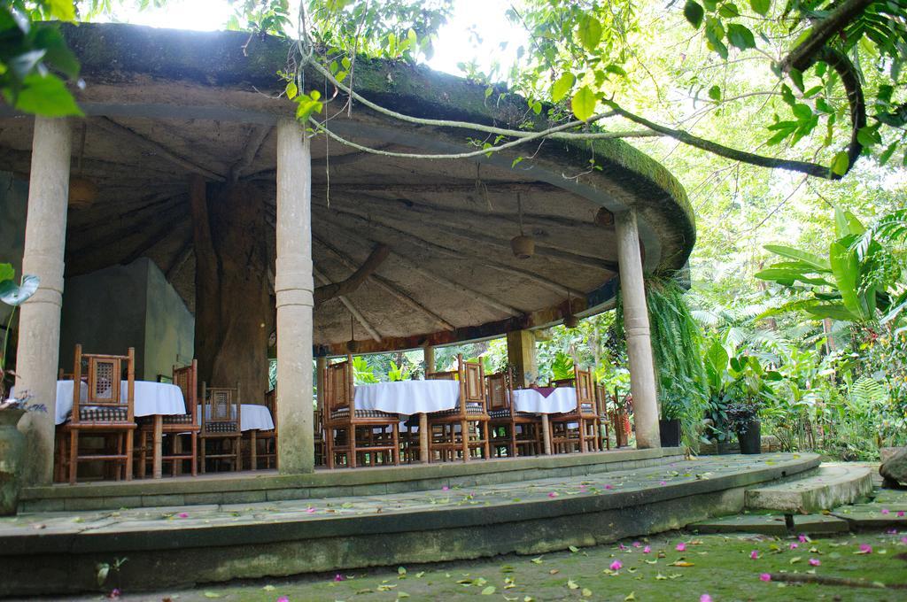 Takalik Maya Lodge El Asintal Exteriér fotografie